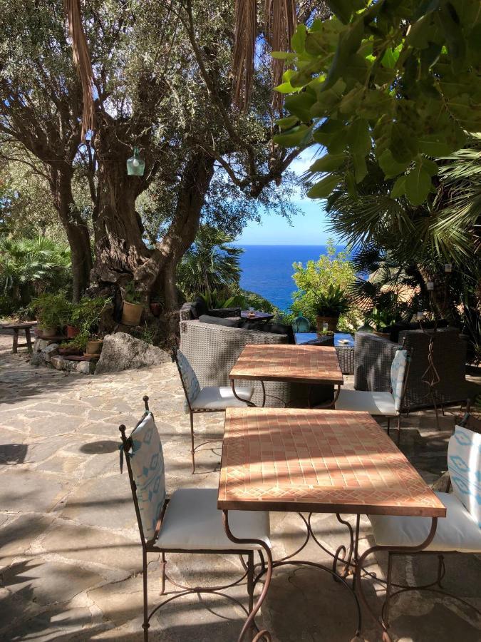 Sa Plana Petit Hotel Estellencs  Exterior photo